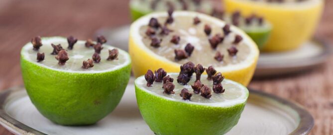 Repelente natural de moscas y mosquitos: limón con clavos de olor