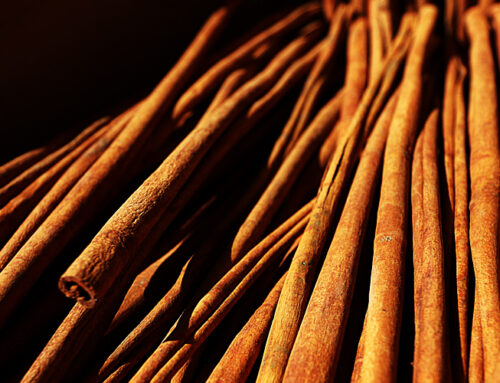 La canela es la reina de las especias de otoño.
